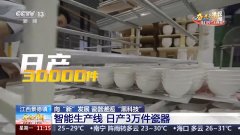 陶瓷也有“基因库” 镂空工艺3D打印 景德