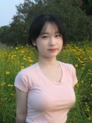正在线高清免费旁不雅ppt不下载